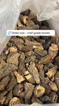 Dried Morels per oz