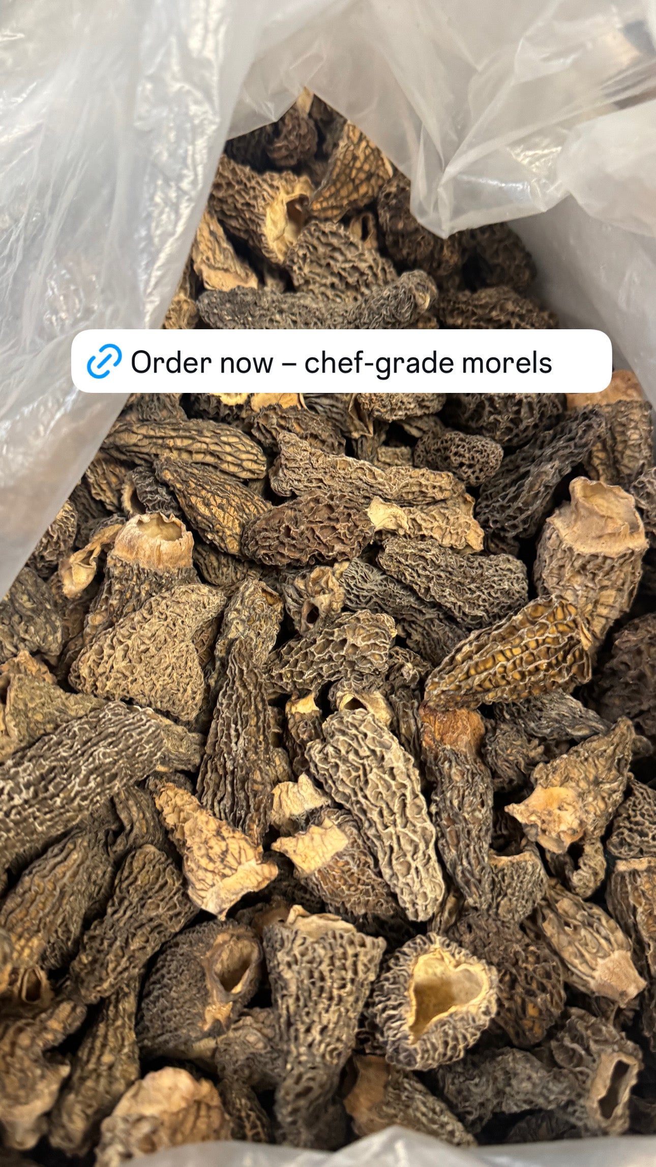 Dried Morels per oz