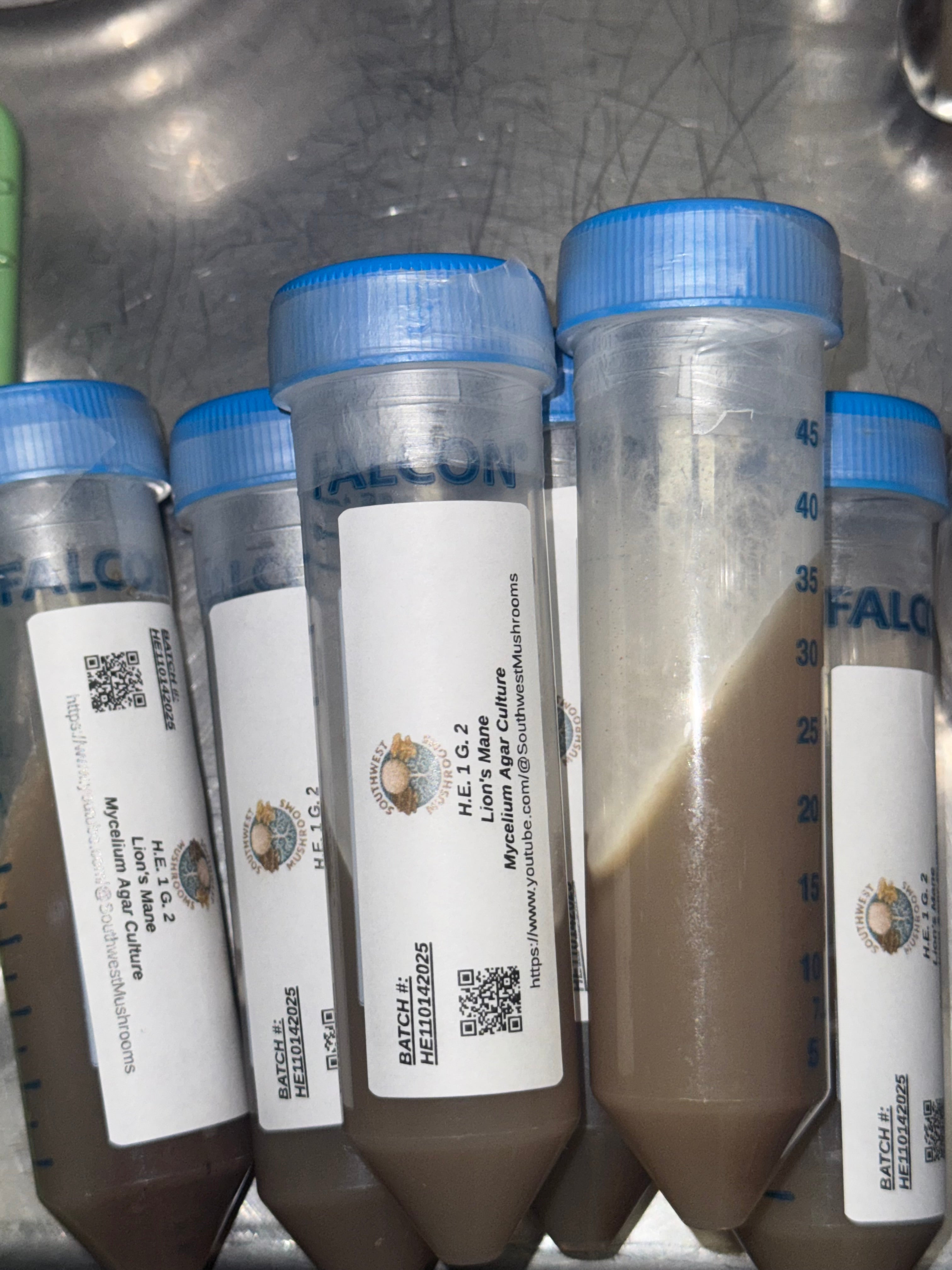 Culture Expansion Pack 28 Premium Strains