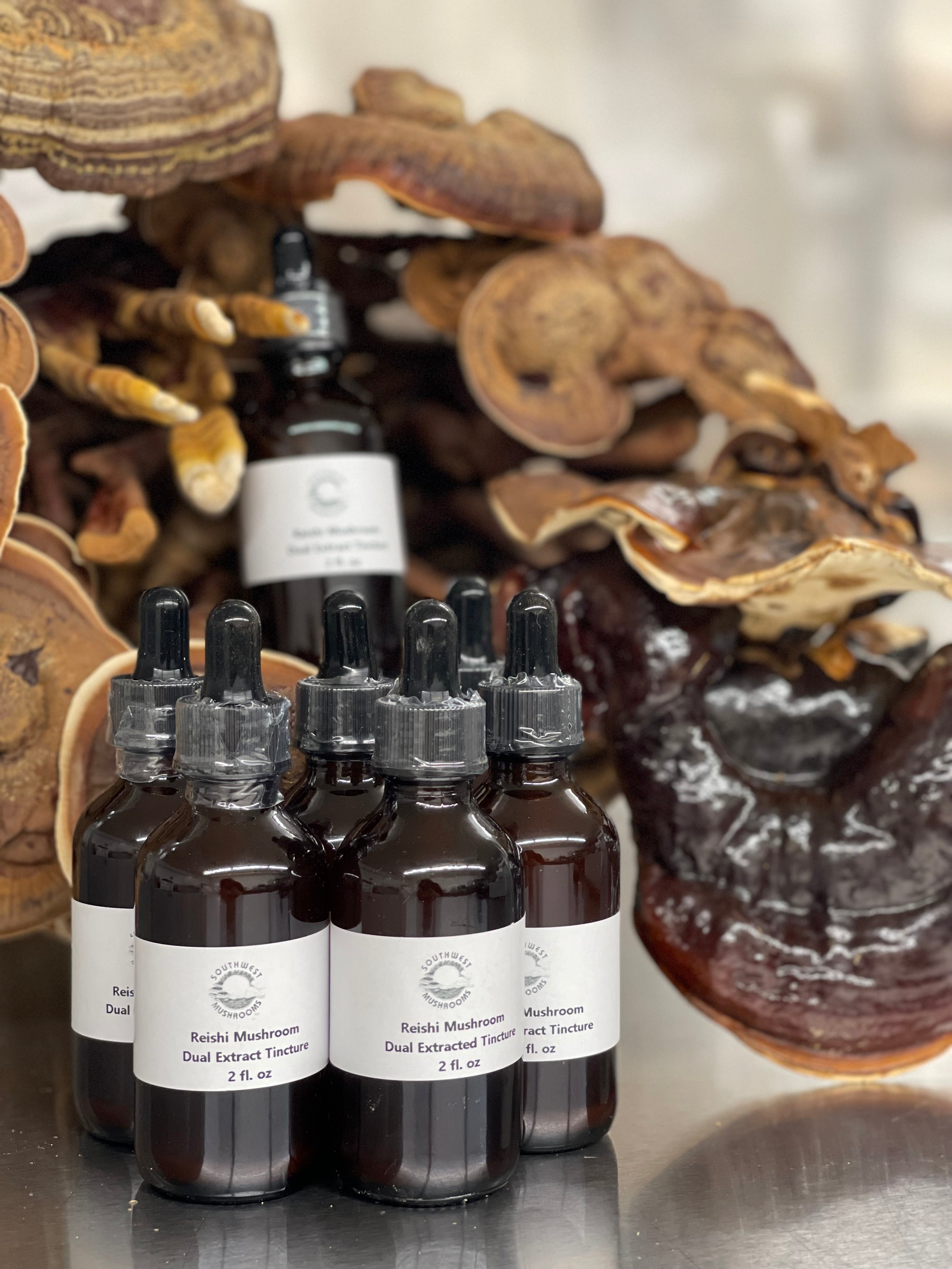 Reishi Mushroom Dual Extracted Tincture