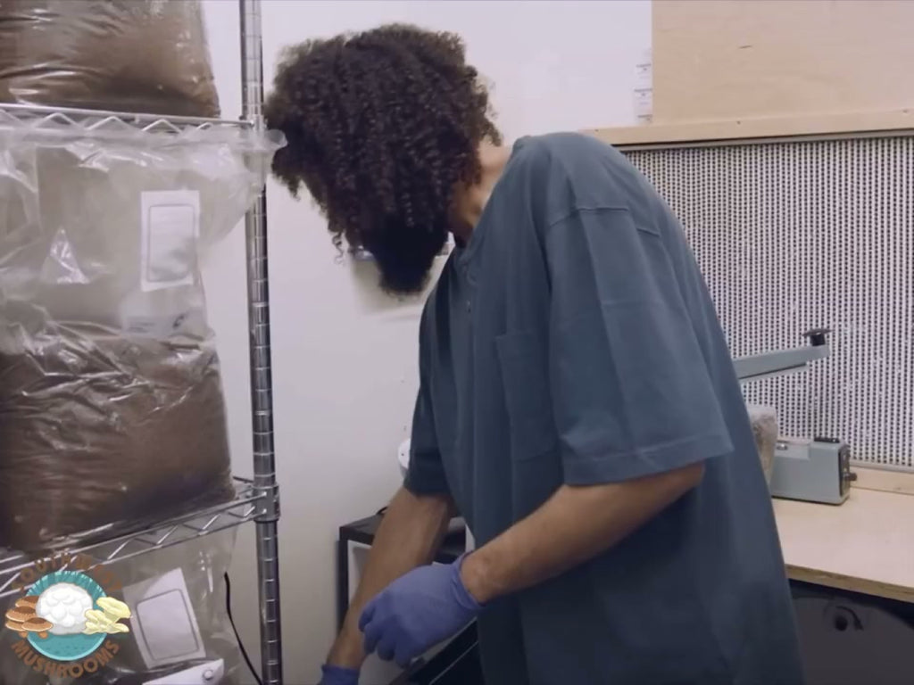 Five Defenders Immune Blend